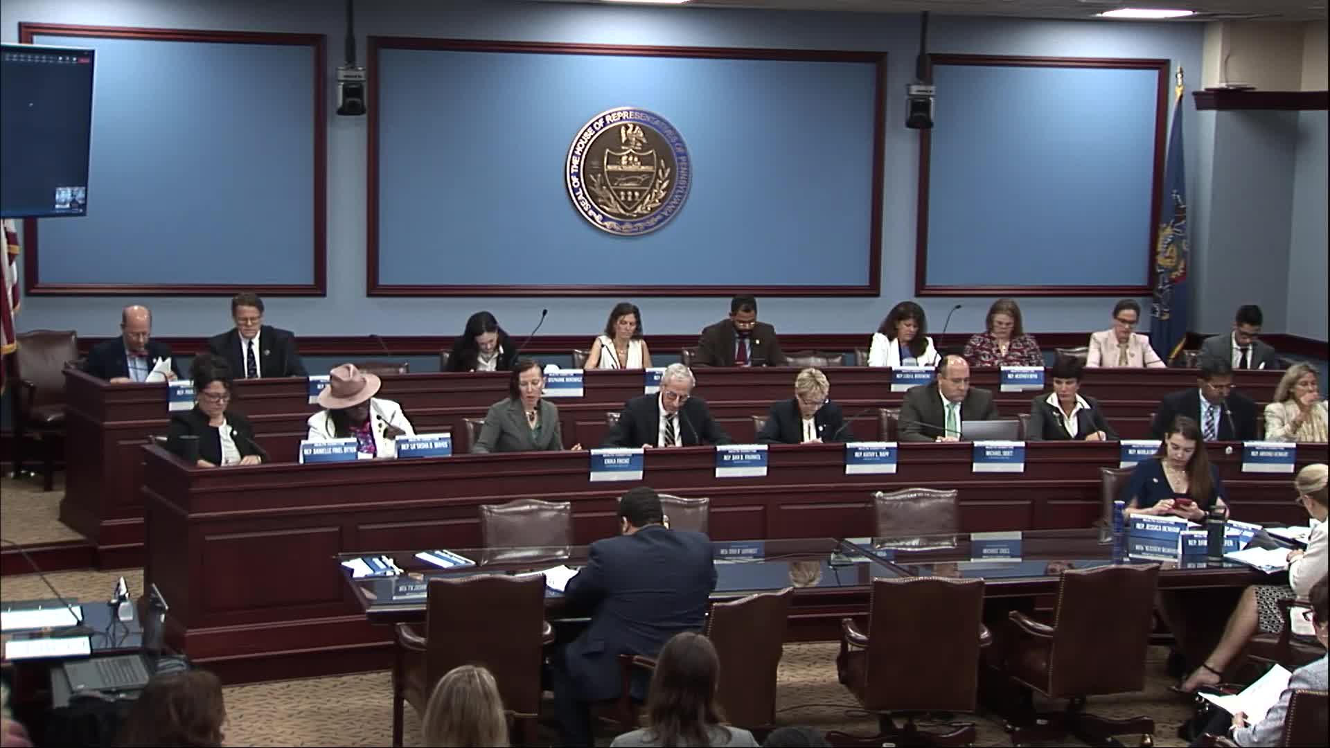 Thumbnail image for House Health Committee Voting Meeting - June 14, 2023