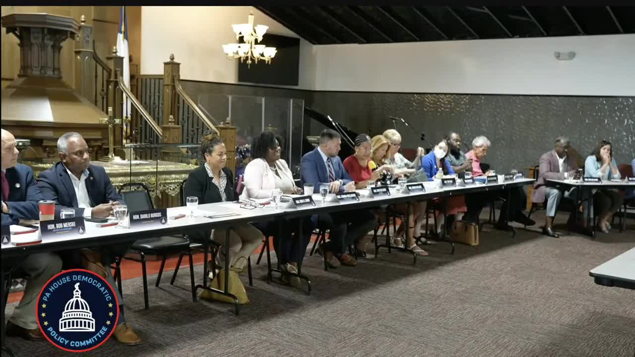 Thumbnail image for HDPC Hearing - Youth Violence Intervention