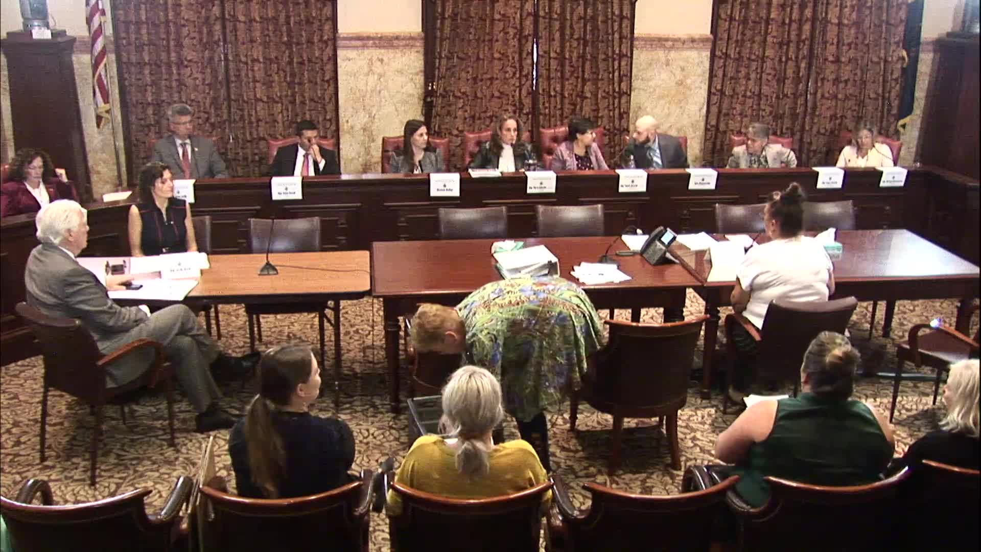 Thumbnail image for House Children & Youth Committee Meeting - October 25, 2022