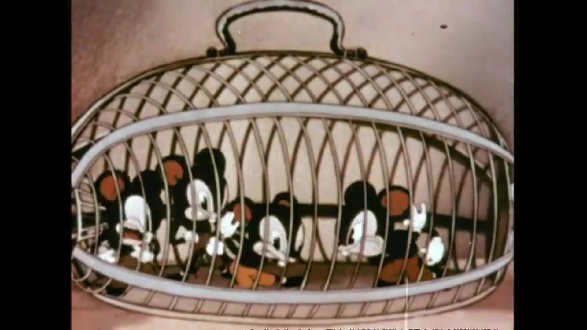 Thumbnail image for Cartoon Starcade - Episode 6