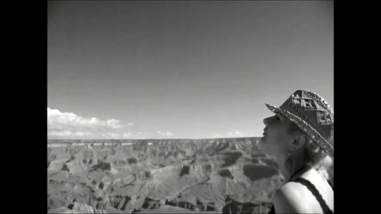 Thumbnail image for Bongo Boy TV - Eclipse, Fly and Honey