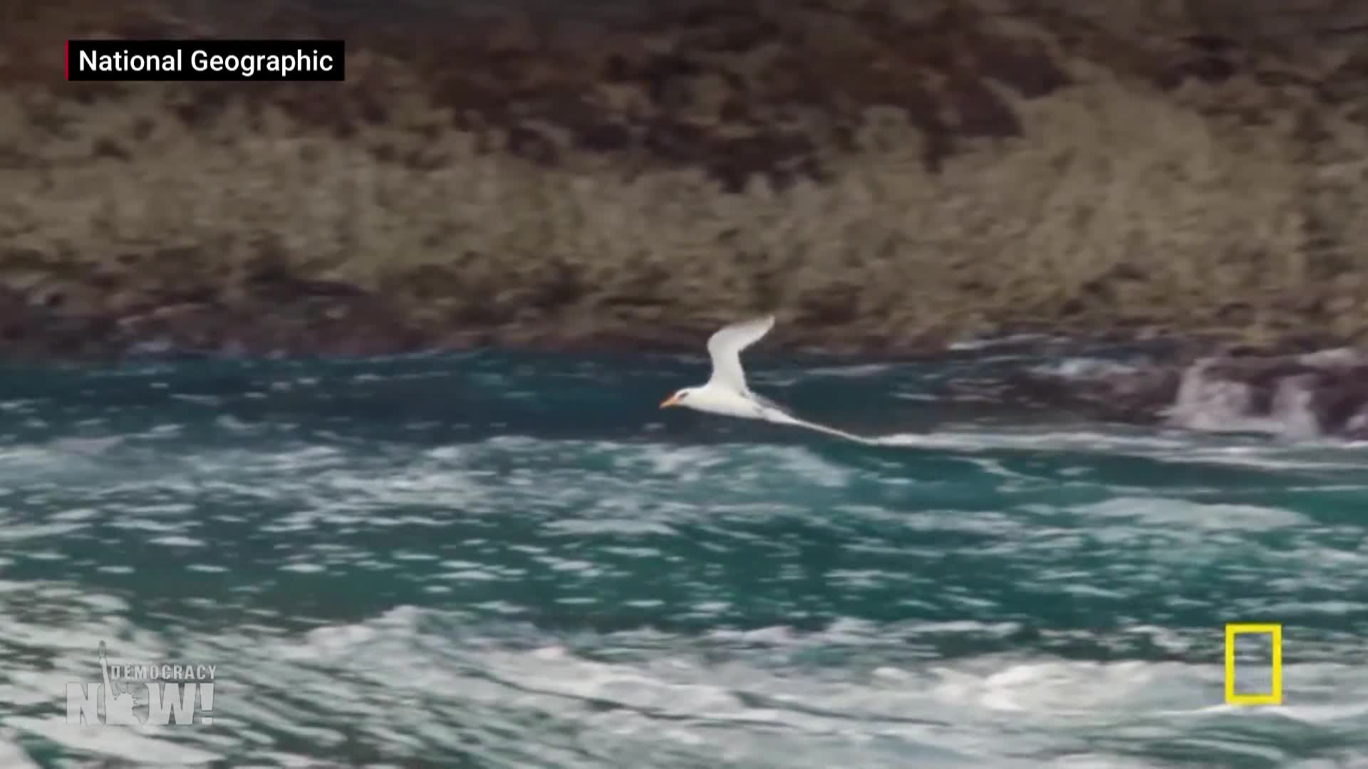 Thumbnail image for Democracy Now! - July 5, 2024