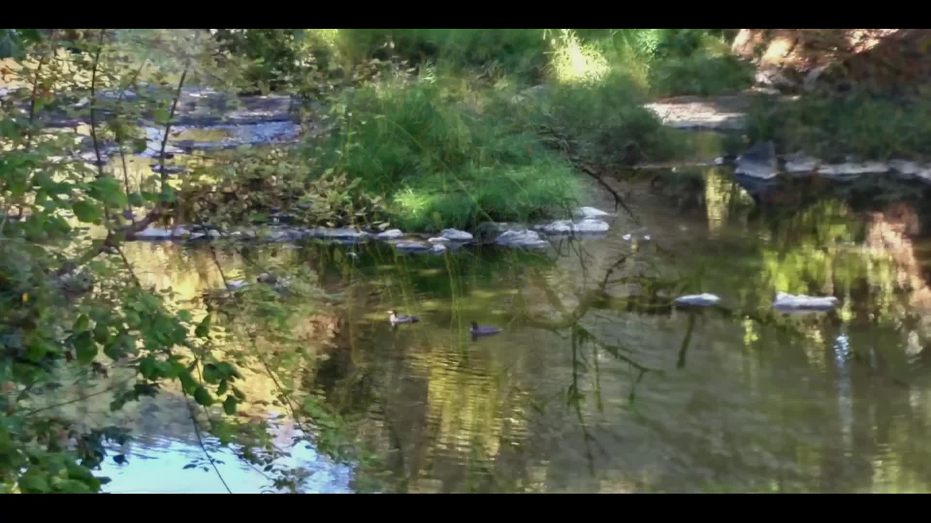 Thumbnail image for Brethren Voices - Civil Society Fabric