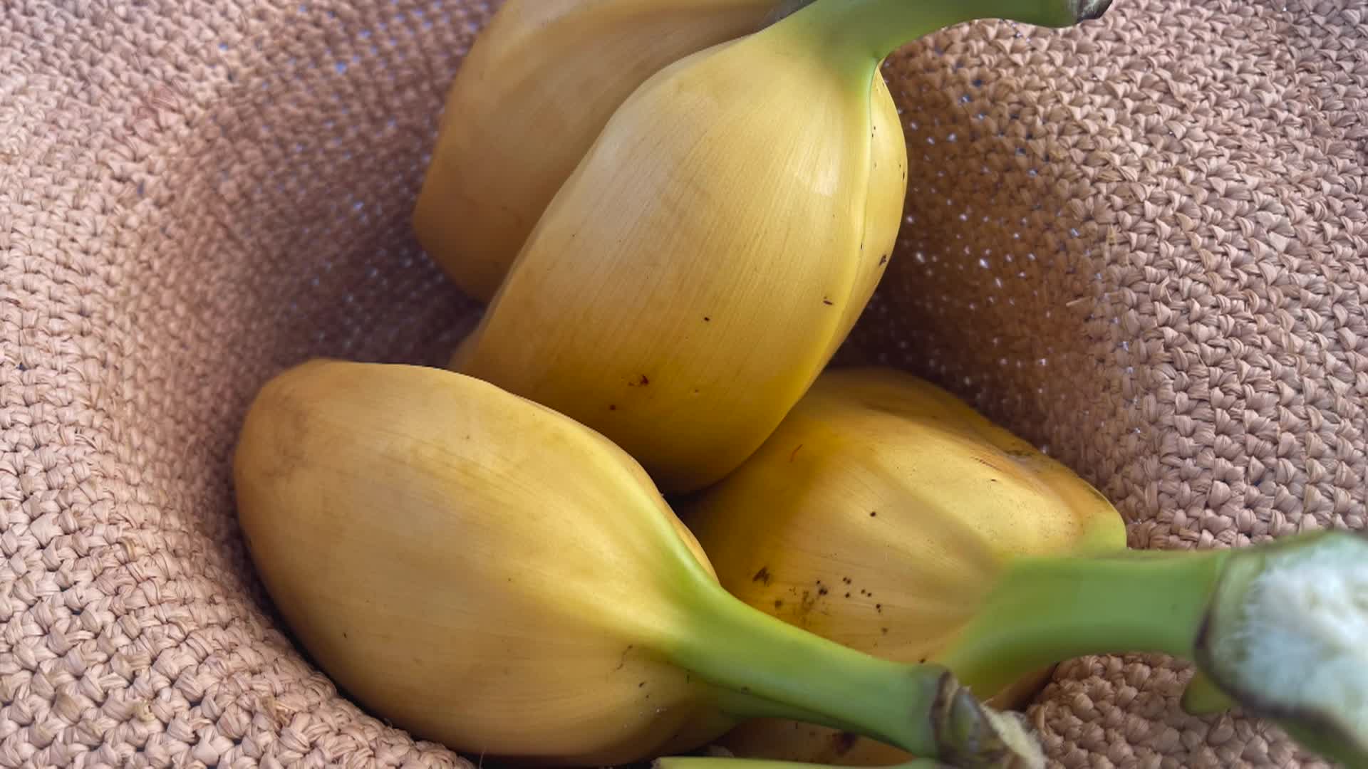 Thumbnail image for Vlada Seeds of Life Cooking and Kids - Coconut Dessert, Fiji - Yasawa Island