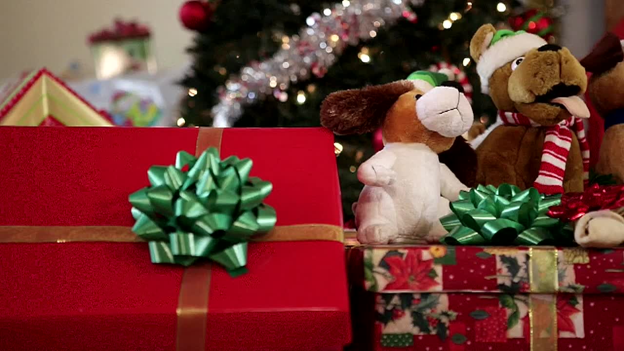 Thumbnail image for Bongo Boy - Happy Holidays Folks