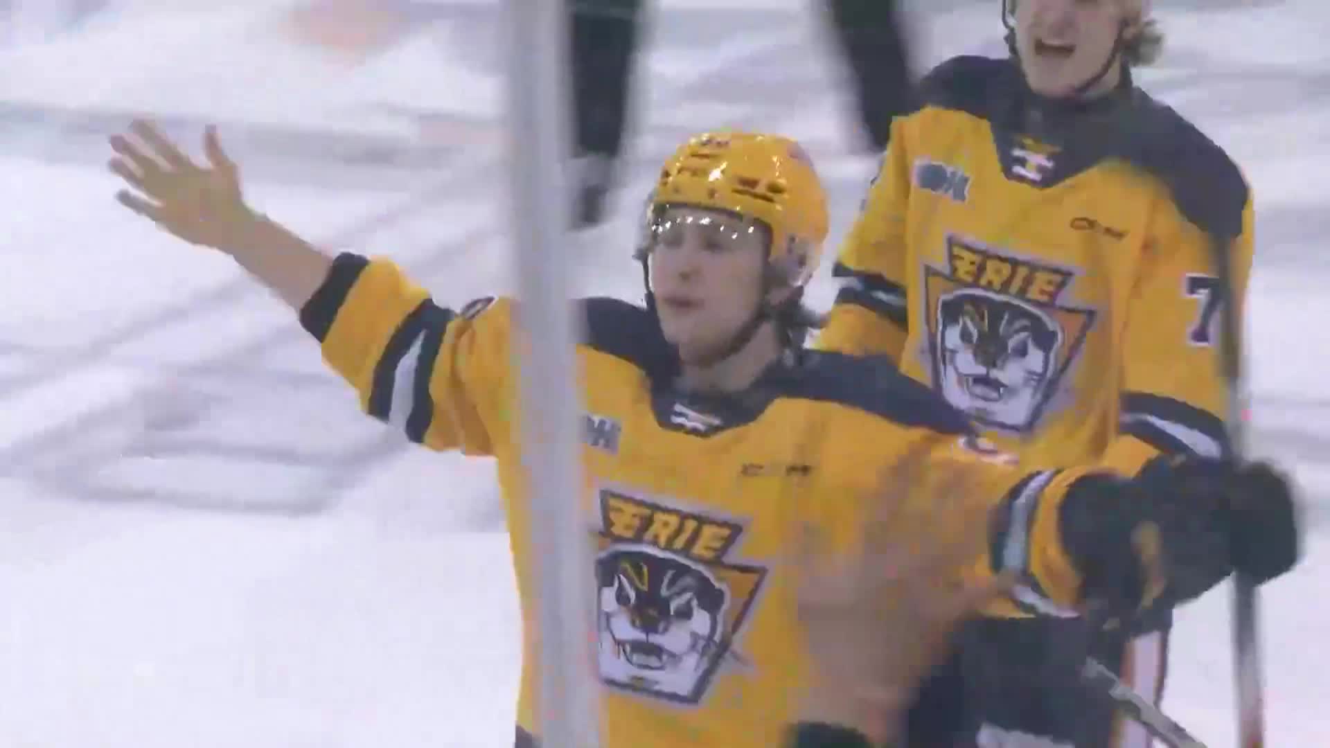 Thumbnail image for Erie Otters vs London December 18, 2024