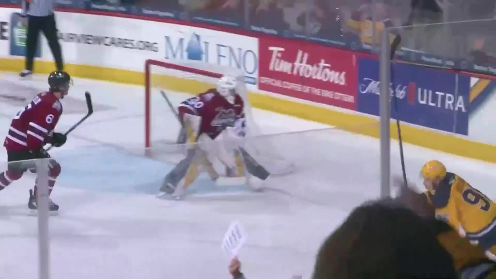 Thumbnail image for Erie Otters vs Niagra - January 26, 2025