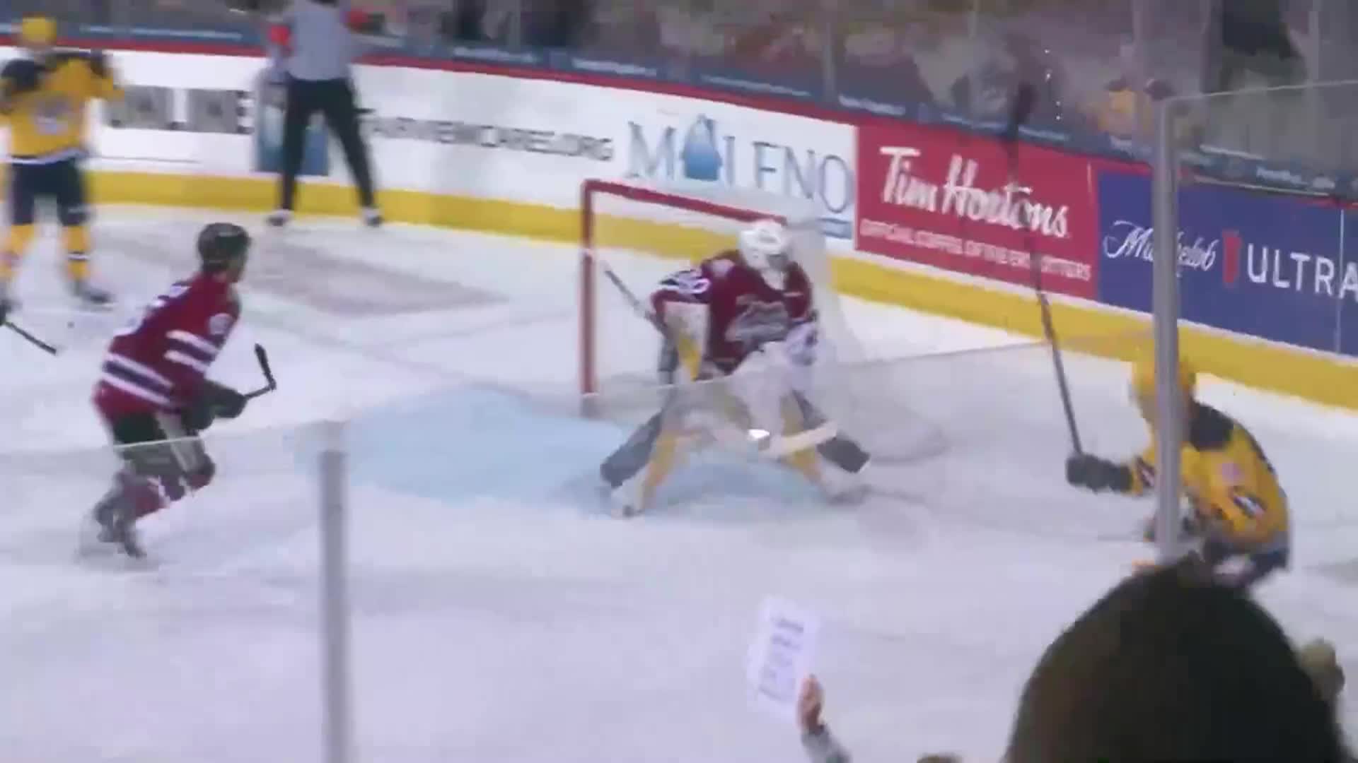 Thumbnail image for Erie Otters vs Guelph February 4, 2025