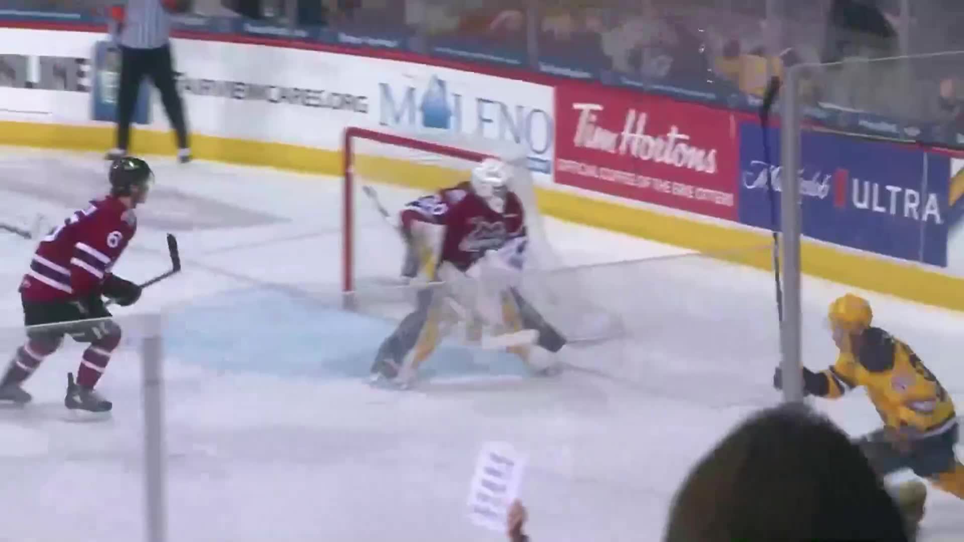 Thumbnail image for Erie Otters vs Niagara - February 12, 2025