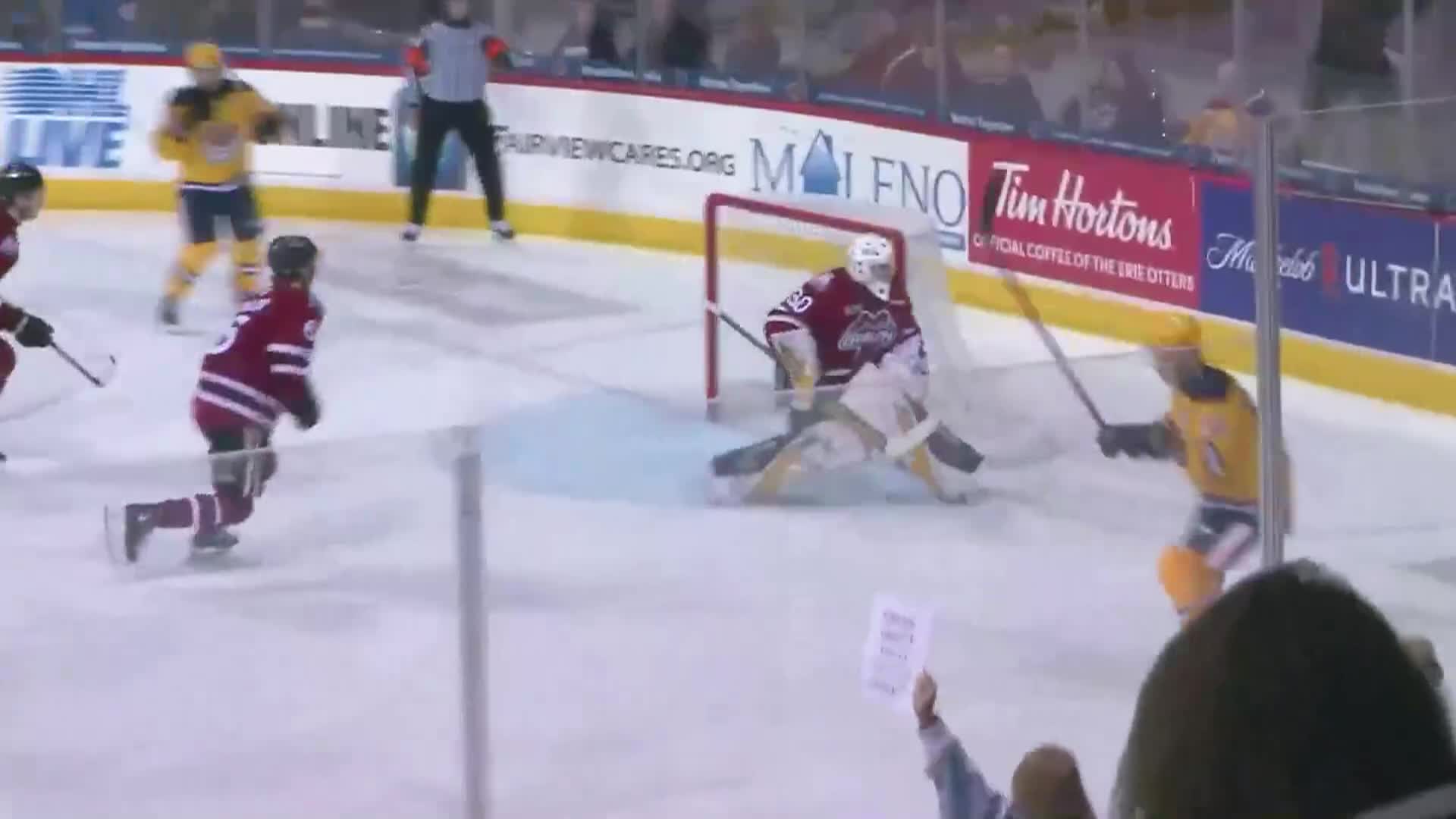 Thumbnail image for Erie Otters vs Oshawa - February 21, 2025