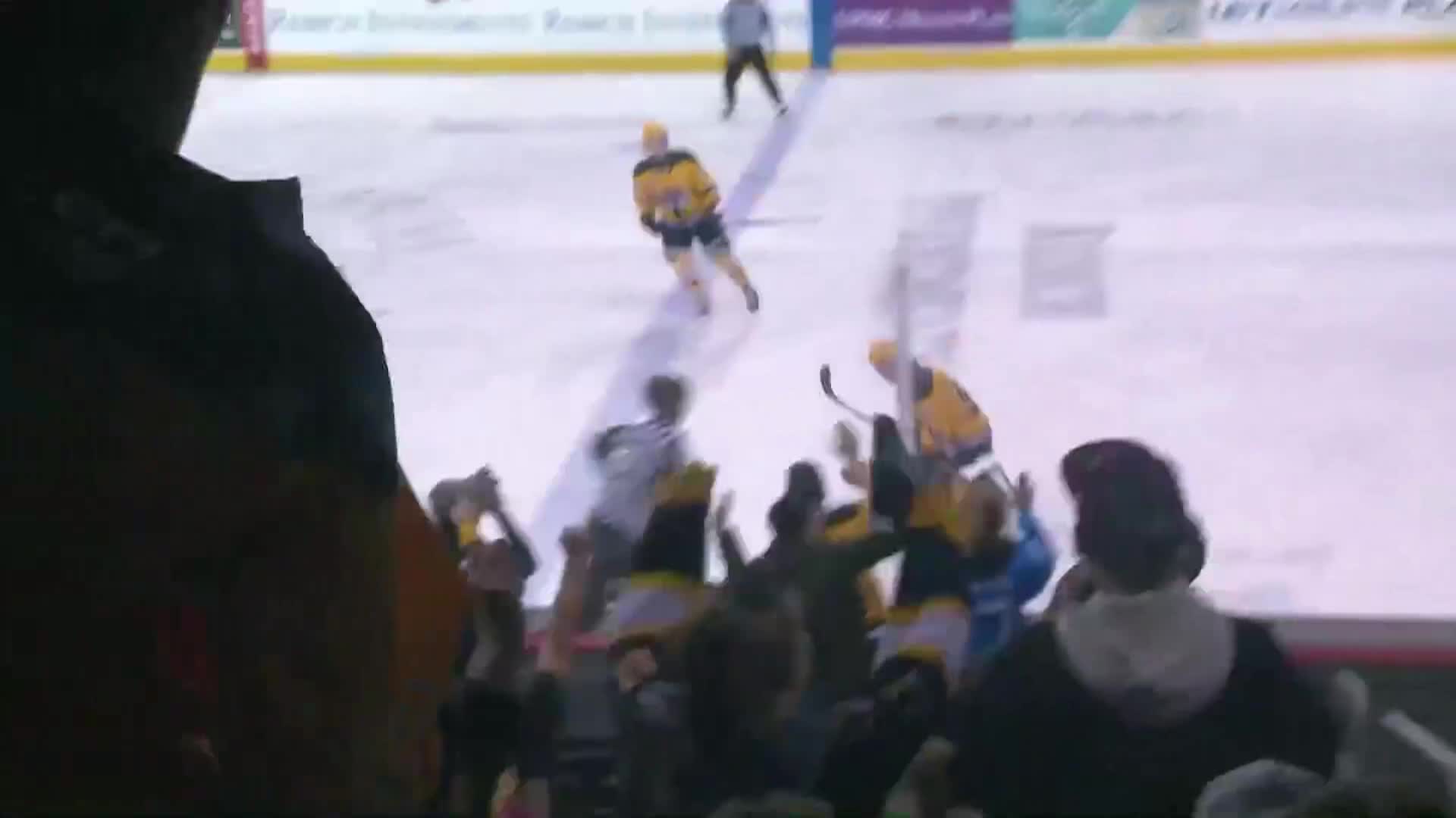 Thumbnail image for Erie Otters vs Owen Sound - March 7, 2025