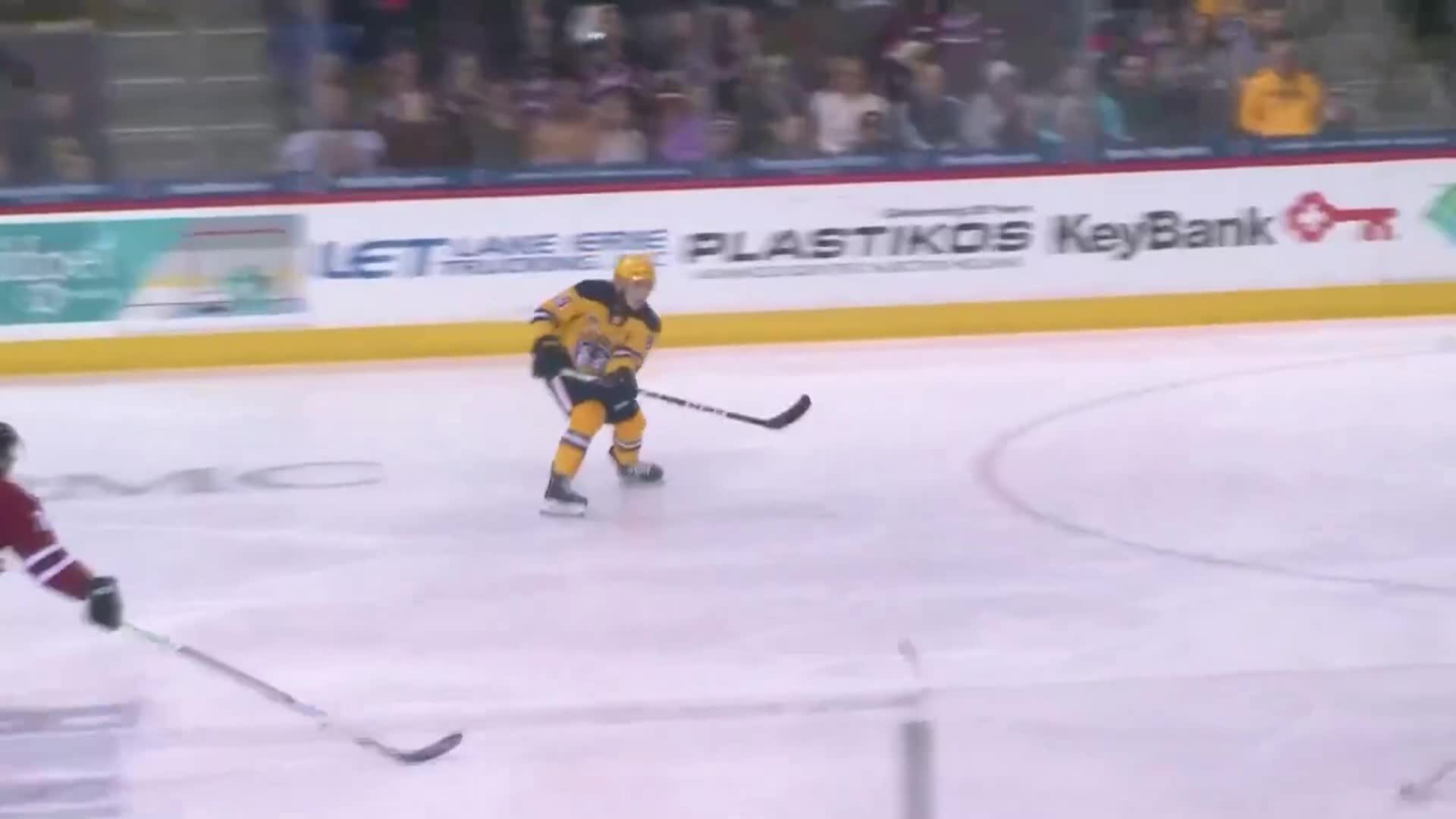 Thumbnail image for Erie Otters vs Niagara - March 15, 2025