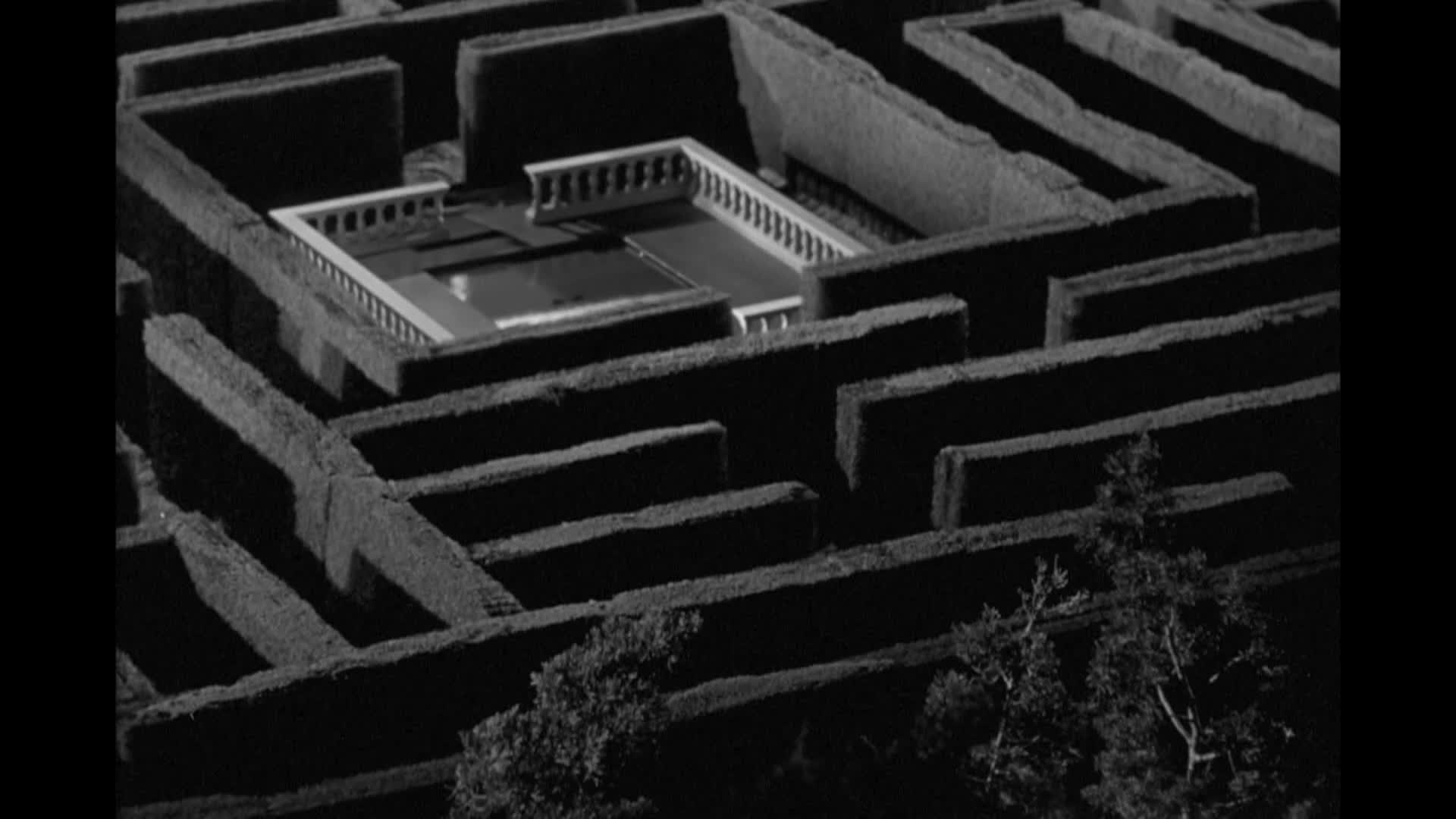 Thumbnail image for Creature Features - Livingston Presents The Maze