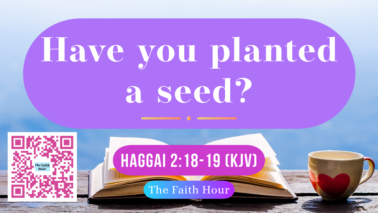 The Faith Hour with Harriet Cammock - Have You Planted A Seed