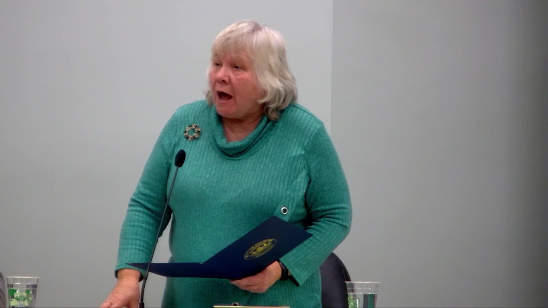 City Council Meeting - December 17, 2025