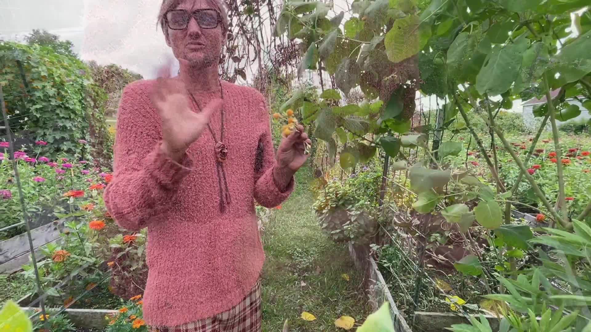 Cooking With Vlada - Rare Seeds, Sweet Beet Salad