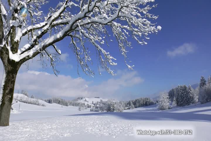 Thumbnail image for A Question of Ethics - Meditation for the Turn of the Year - Be Still, God Dwells in You