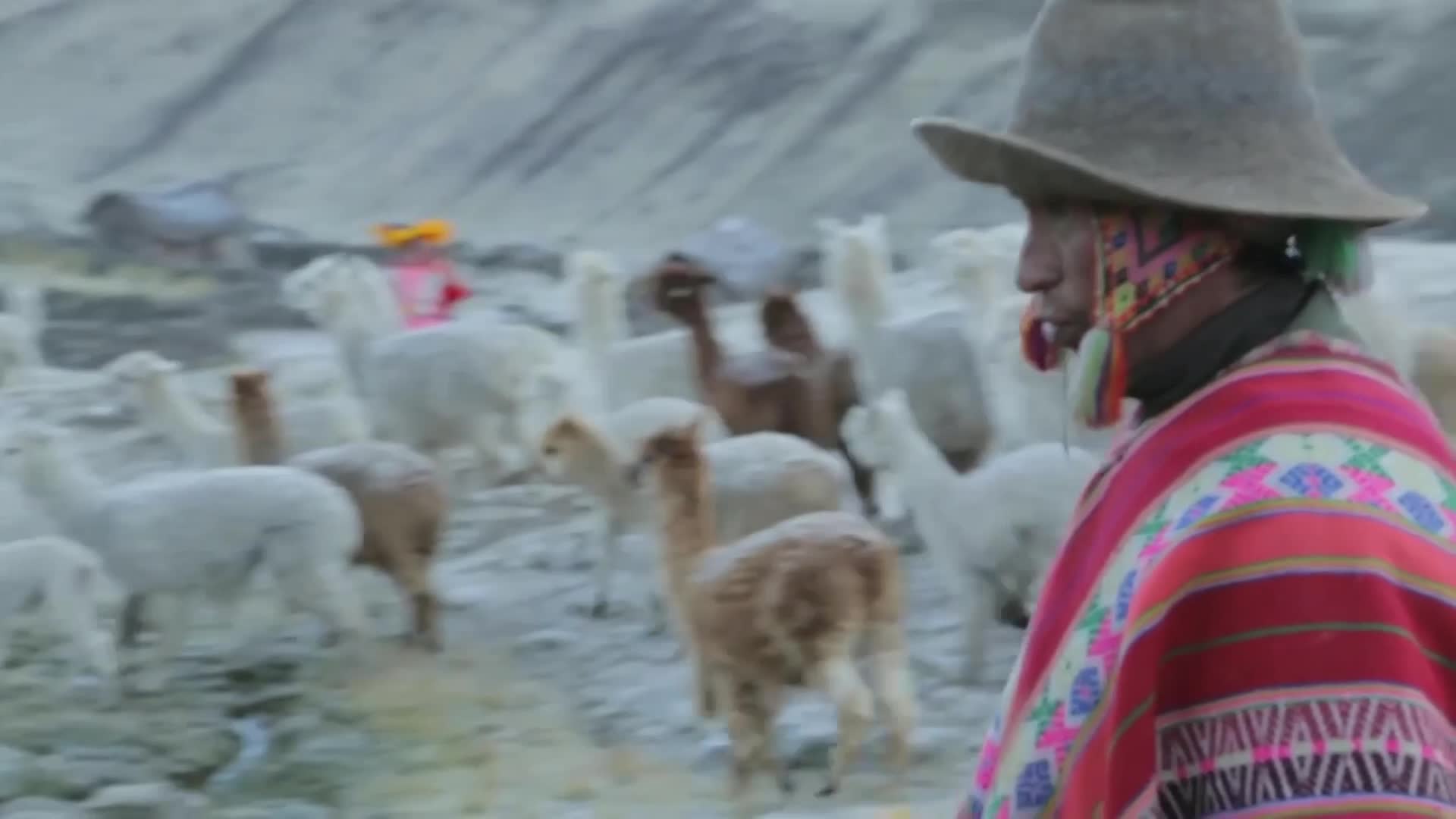 Thumbnail image for Brethren Voices - It All Started . . . .With An Idea!!!! - Heifer Project and Heifer International